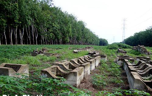 Bình Phước